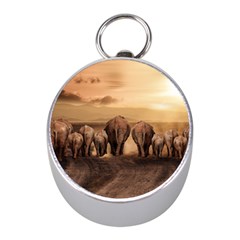 Elephant Dust Road Africa Savannah Mini Silver Compasses by HermanTelo