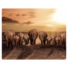 Elephant Dust Road Africa Savannah Double Sided Flano Blanket (medium) 