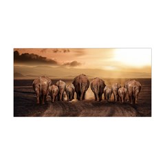 Elephant Dust Road Africa Savannah Yoga Headband by HermanTelo