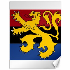 Benelux Flag Canvas 36  X 48  by abbeyz71