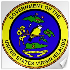 Seal Of United States Virgin Islands Canvas 20  X 20  by abbeyz71