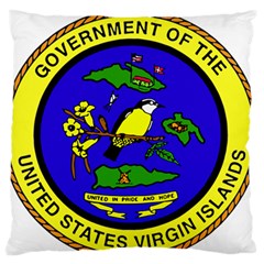 Seal Of United States Virgin Islands Large Flano Cushion Case (two Sides) by abbeyz71