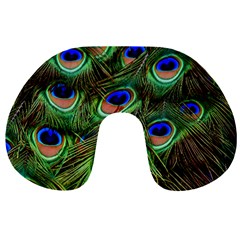 Peacock Feathers Plumage Iridescent Travel Neck Pillow