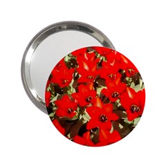 Columbus Commons Red Tulips 2 25  Handbag Mirrors by Riverwoman