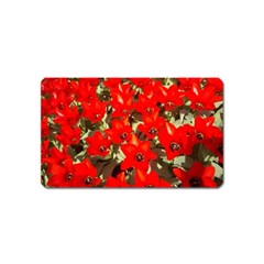 Columbus Commons Red Tulips Magnet (name Card) by Riverwoman