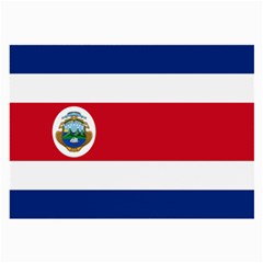 National Flag Of Costa Rica Large Glasses Cloth by abbeyz71