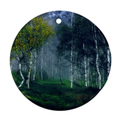 Birch Forest Nature Landscape Round Ornament (two Sides) by Pakrebo