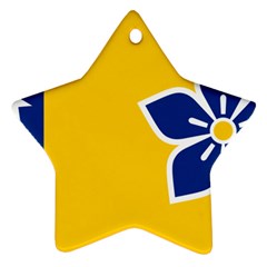 Proposed Flag Of Australian Capital Territory Ornament (star) by abbeyz71