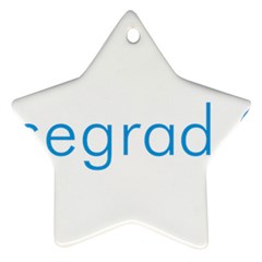 Logo Of Visegrád Group Star Ornament (two Sides) by abbeyz71