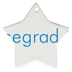 Logo Of Visegrád Group Ornament (star) by abbeyz71