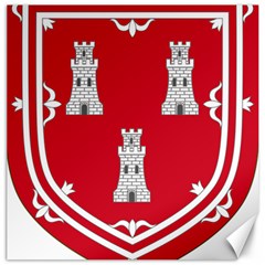 Shield Of The Arms Of Aberdeen Canvas 20  X 20  by abbeyz71