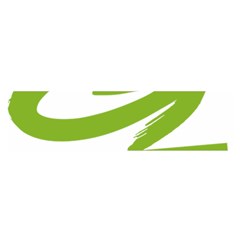 Logo Of Austrian Green Party Satin Scarf (oblong) by abbeyz71