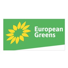 Logo Of The European Green Party Satin Shawl by abbeyz71