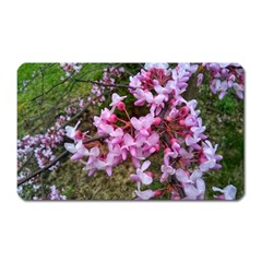 Redbud In April Magnet (rectangular) by Riverwoman