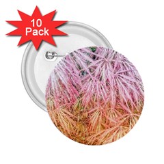 Fineleaf Japanese Maple highlights 2.25  Buttons (10 pack) 