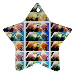 Twenty-seven Snowball Branch Collage Ornament (star) by okhismakingart