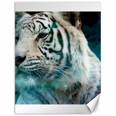 White Tiger Canvas 18  X 24 