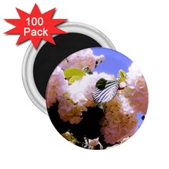 Pink Snowball Branch  2.25  Magnets (100 pack) 