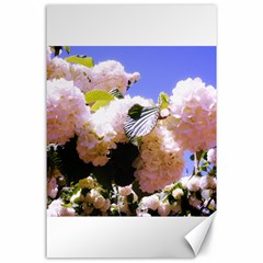 Pink Snowball Branch  Canvas 24  x 36 