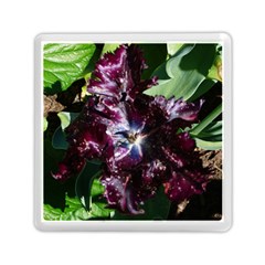 Galaxy Tulip Memory Card Reader (square) by okhismakingart