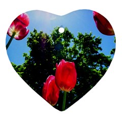 Skyward Tulips Heart Ornament (two Sides) by okhismakingart