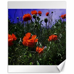 Poppy Field Canvas 11  X 14  by okhismakingart