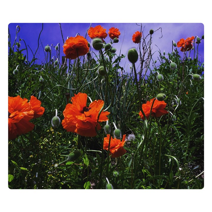 Poppy Field Double Sided Flano Blanket (Small) 