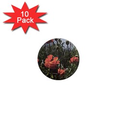 Faded Poppy Field  1  Mini Magnet (10 Pack)  by okhismakingart