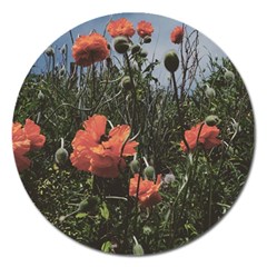 Faded Poppy Field  Magnet 5  (round) by okhismakingart