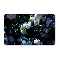 Blue Snowballs Ii Magnet (rectangular) by okhismakingart