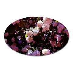 Purple Snowballs Oval Magnet by okhismakingart