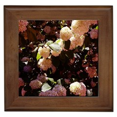 Pink Snowballs Ii Framed Tiles by okhismakingart