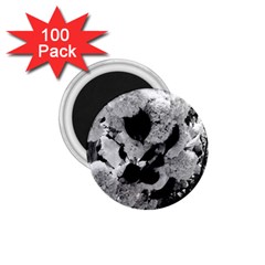 Black And White Snowballs 1 75  Magnets (100 Pack) 