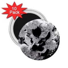 Black And White Snowballs 2 25  Magnets (10 Pack) 