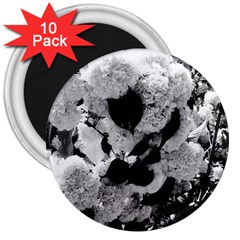 Black And White Snowballs 3  Magnets (10 Pack) 