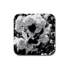 Black And White Snowballs Rubber Square Coaster (4 Pack) 