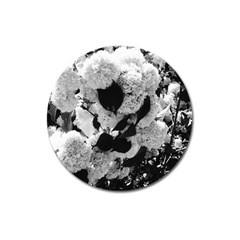 Black And White Snowballs Magnet 3  (round)