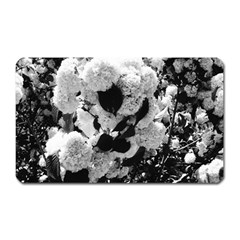 Black And White Snowballs Magnet (rectangular)