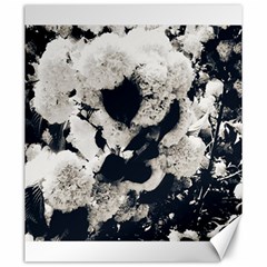 High Contrast Black And White Snowballs Canvas 20  X 24 