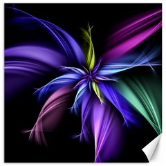 Fractal Floral Pattern Petals Canvas 20  X 20  by Pakrebo