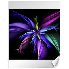 Fractal Floral Pattern Petals Canvas 18  x 24 