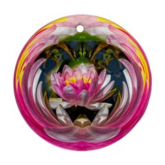 Flower Ornament Color Background Ornament (round)
