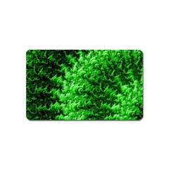 Green Abstract Fractal Background Magnet (name Card) by Pakrebo