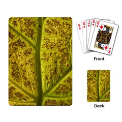 Leaf Structure Texture Background Playing Cards Single Design (rectangle)