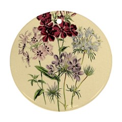 Botanical Print Antique Flora Plant Ornament (round)