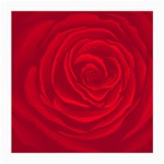 Roses Red Love Medium Glasses Cloth Front