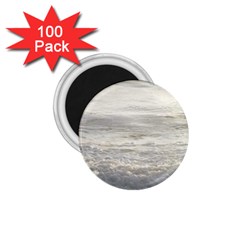 Pacific Ocean 1 75  Magnets (100 Pack)  by brightandfancy