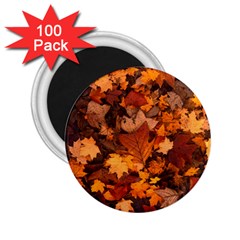 Fall Foliage Autumn Leaves October 2 25  Magnets (100 Pack)  by Pakrebo