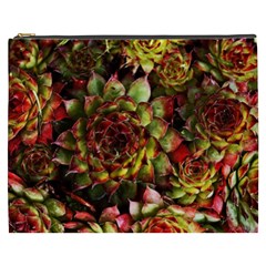 Plant Succulents Succulent Cosmetic Bag (xxxl) by Pakrebo