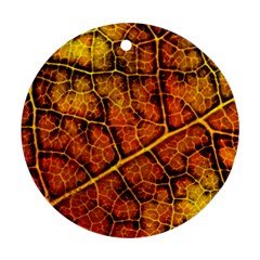Autumn Leaves Forest Fall Color Ornament (round)